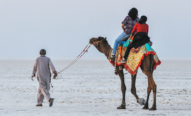 Kutch Camel Safari