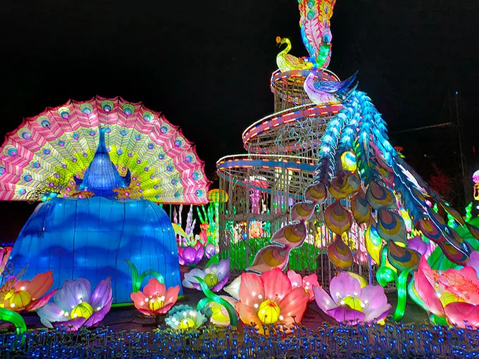 Statue of Unity Glow Garden